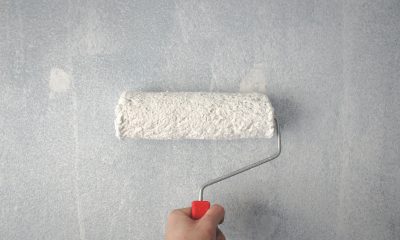 Kaip išsirinkti patogiausią volelį dažymui?