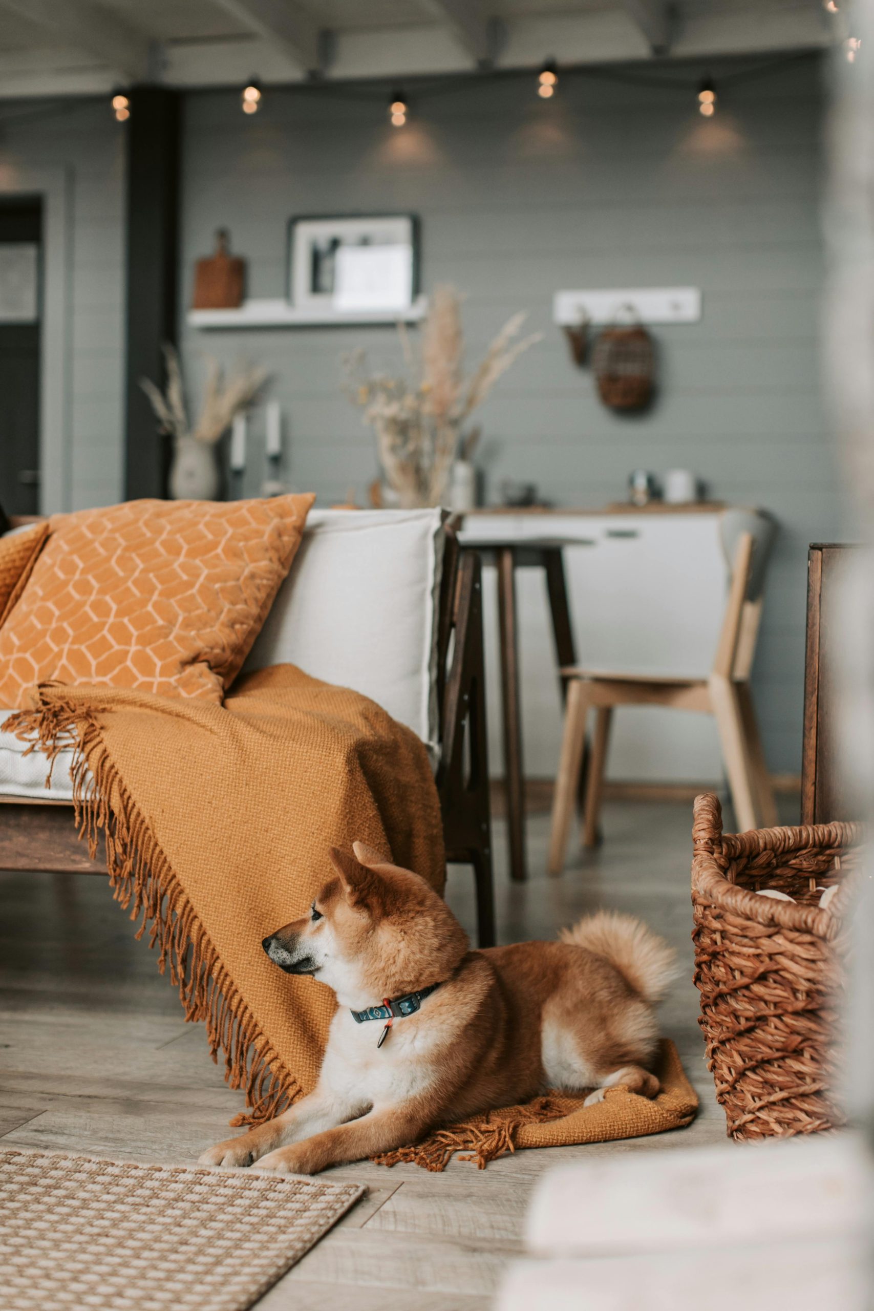 Industrinis stilius interjere