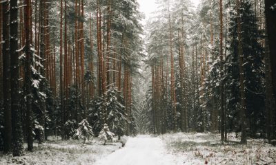 TOP 5 vietos Lietuvoje
