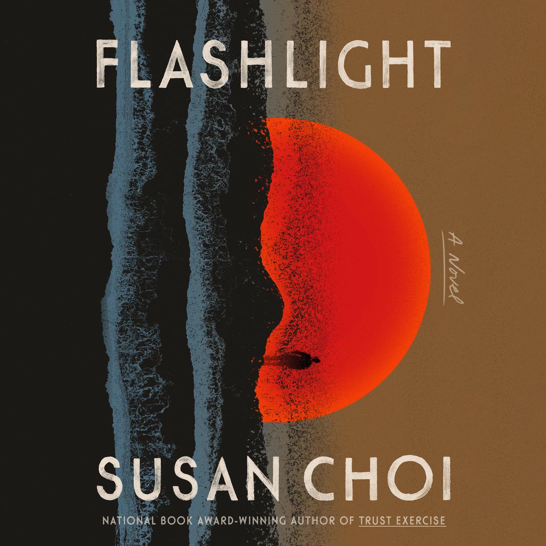„Flashlight“ – Susan Choi