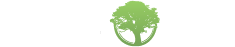 Arbora logo