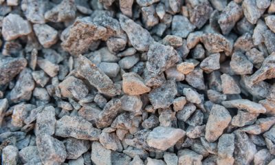 Geriausia skalda kiemui