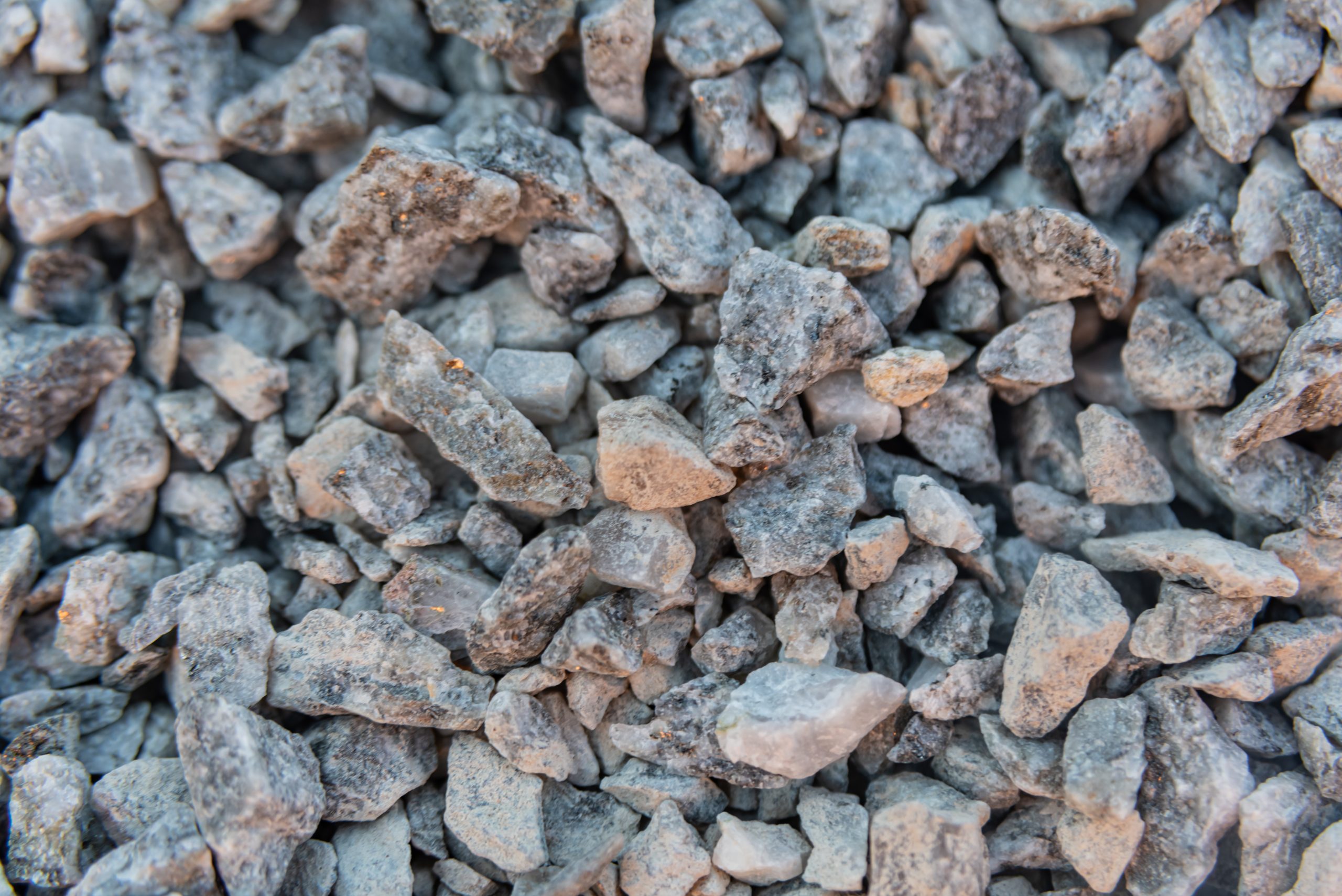 Geriausia skalda kiemui