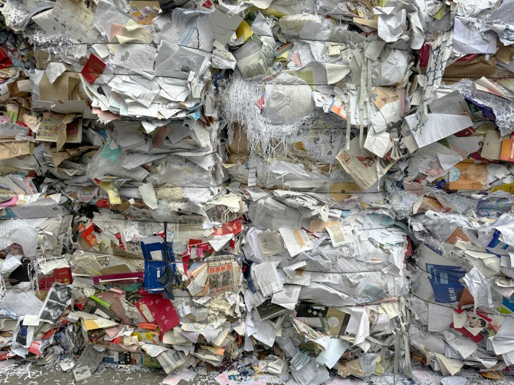 recycling facility sorting conveyor plastics