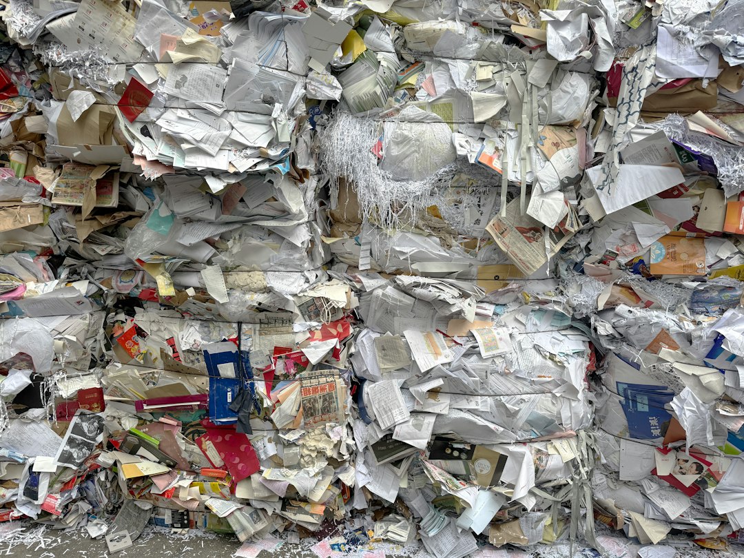 Atliekas rūšiuoja DI robotas: idėja, kuri gali pakeisti perdirbimo verslą