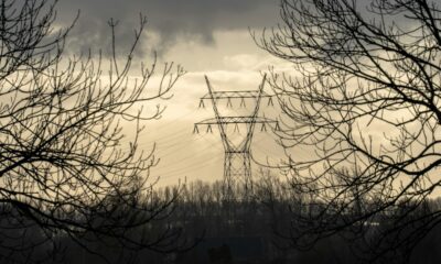 Elektros perdavimo tinklas – asociatyvi nuotrauka